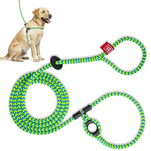 Harness Lead No-Pull Dog Harness & Leash Set (Peacock Blue/Lime, Medium/Large)