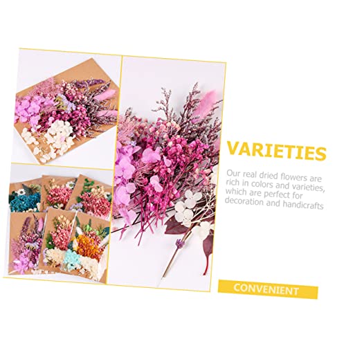 Flores secas para manualidades ORFOFE 1 bolsa miniatura 4