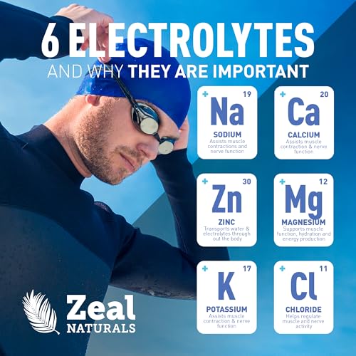 Image of Zeal Electrolyte Powder - 90 Servings | Keto Electrolytes Powder | Zero Sugar, BCAAs, B-Vitamins | Potassium, Zinc, Magnesium | Hydration Powder Recovery Drink | Blue Raspberry