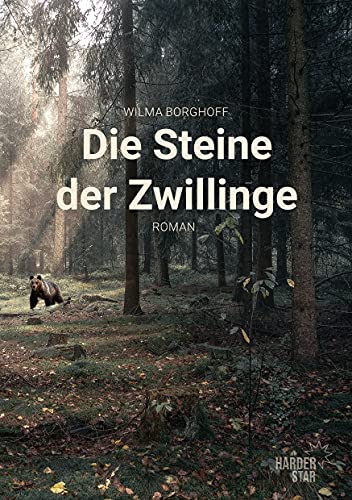 Die Steine der Zwillinge von [Wilma Borghoff, Johanna Hopf, Andreas Winter]