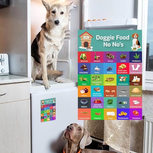 Sichere Hundediät – Sicherheitsratgeber mit 30 Lebensmitteln, bunter Magnet-Sicherheitsliste | Fütterungstabelle für Hunde, Tabelle mit Nahrungsmitteln, die Hunde nicht essen sollten, Bilder von Gesun