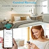 Kit de dos enchufes inteligentes 