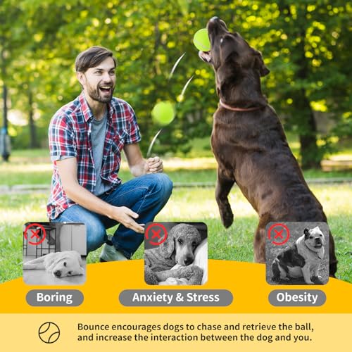 Orifesio 2 Inch Tennis Balls for Dogs Mini Tennis Ball for Pet Playing Fecth Dog Playing Ball for Small Size Dogs Interactive Dog Toy Balls Fits for 2 Inch Pet Launcher Machine - Image 3