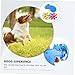 BESPORTBLE 1set Interactive Dog Toy Set Creative Flying Saucer for Chase Engaging Training Tool for Dogs Play for Pets Random Style