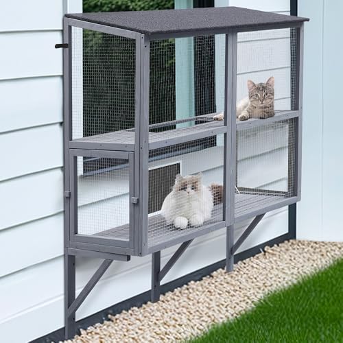 Cat Window Box – The 15 best products compared - Wild Explained