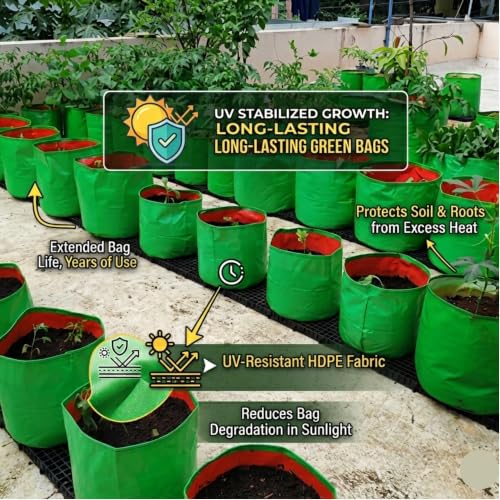 Image of Premium HDPE UV Stabilised GrowBag Size 12x12 Inch Pack of 3 | 260 GSM Round Shaped Green Colour | Suitable for Brinjal, Tomato, Capsicum, Cabbage