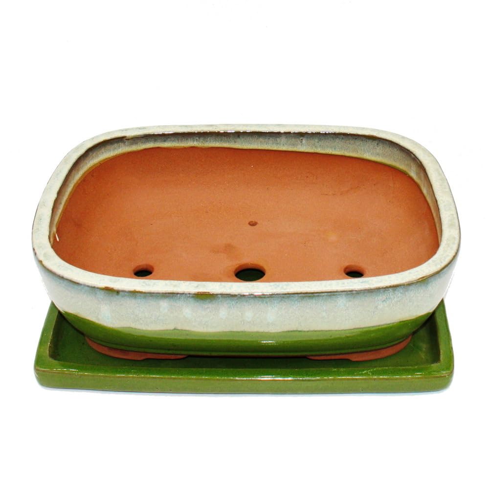 exotenherz Bol à bonsaï avec soucoupe taille 6 vert/beige rectangulaire modèle GB5 L 37 cm l 28 cm H 10 cm