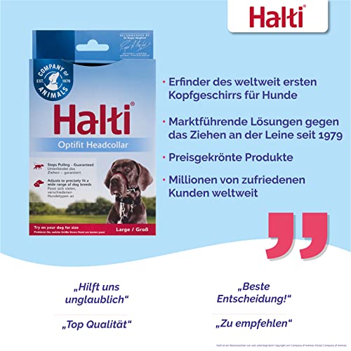 HALTI Optifit Kopfgeschirr, Größe Groß - Verhindert, dass Ihr Hund an der Leine zieht, Einfache Anpassung, Leicht, mit gepolstertem Nasenriemen, Anti-Zug-Halsband für große Hunde