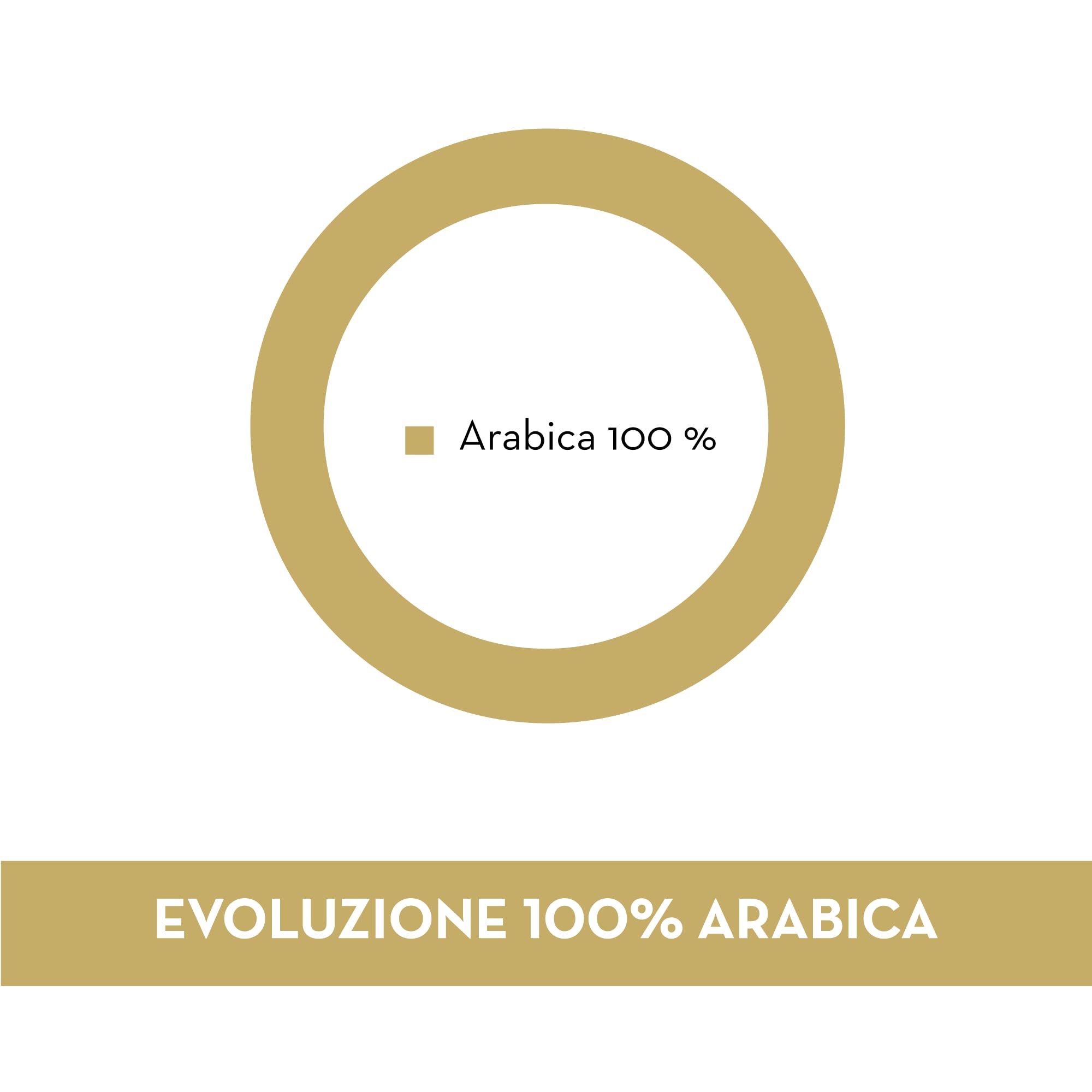 Musetti Kaffee, 150 kompostierbare Kaffeepads, 100% Arabica Evolution Blend mit zartem und fein-säuerlichem Geschmack, in 44 mm Filterpapier