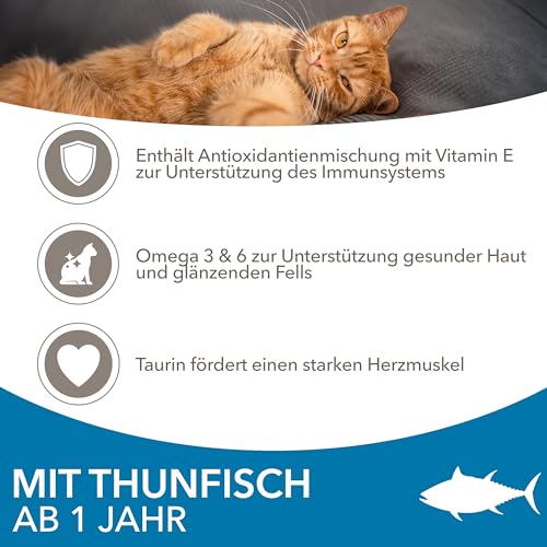 IAMS Trockenfutter mit Thunfisch für Katzen im Alter von 1-6 Jahren, 3 kg – Ansicht 4