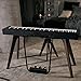 Casio Privia PX-S7000 Digital Piano - Black Bundle with Bench, Stand, Triple Pedal Unit, Headphones, Piano Book, Online Piano Lessons, Austin Bazaar Instructional DVD, and Polishing Cloth