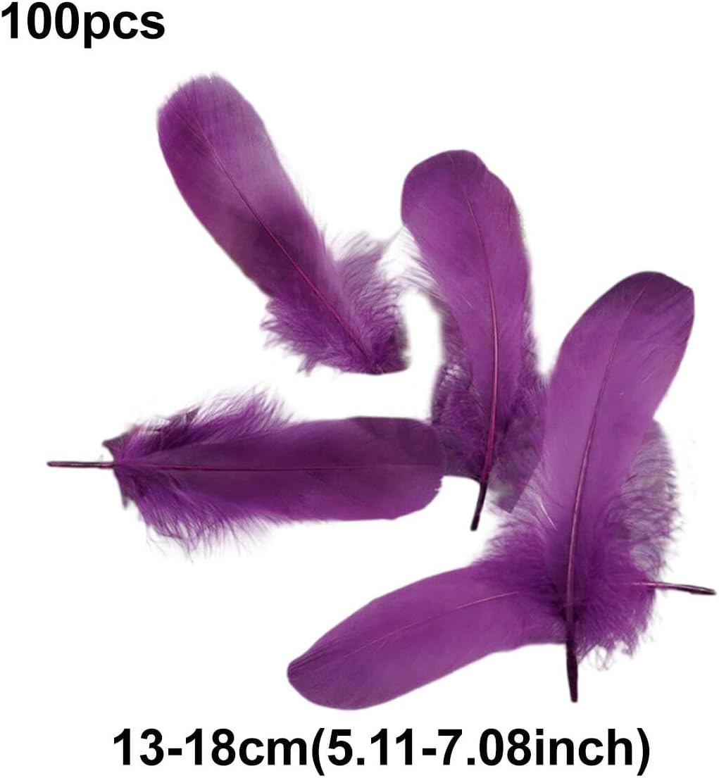 ECYC 100 Pcs 5.11-7.08 inch Natural Goose Feathers, Solid Color Fluffy Goose Feather Decorative Swan Feathers Plume for DIY Crafts Cosplay Dream Catcher Costume Wedding Party Decoration, 20