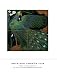 Arts and Crafts Tile: From the Collection of the Two Red Roses Foundation