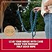 Weaver Equine Performance Lead Rope, Navy/Royal Blue, 10' Horse Cowboy Rope with Brass Plated Snap, Soft Comfort Grip, Barn Horse Tack for Daily Use