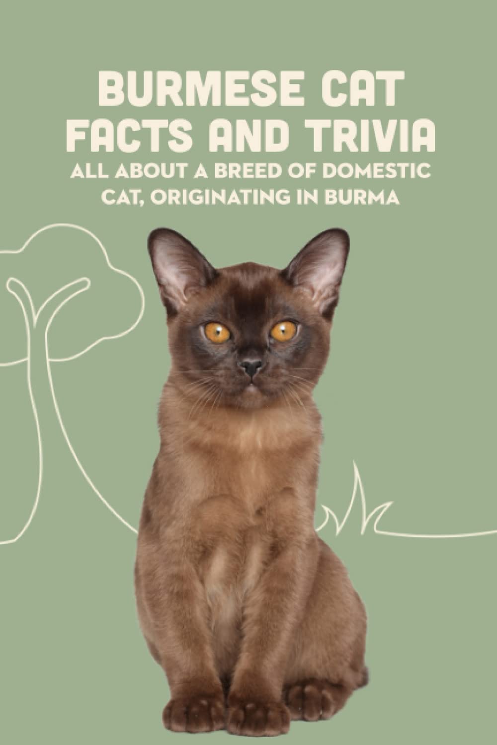 Burmese Cat Facts and Trivia: All about A Breed of Domestic Cat, Originating in Burma: Burmese Cat