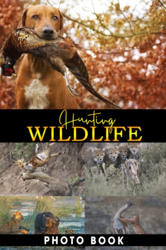 Hunting Wildlife Photo Book: Beautiful Colorful Images For All Ages To Unleash The Creativity Energy | Gift Idea For Animal Lovers