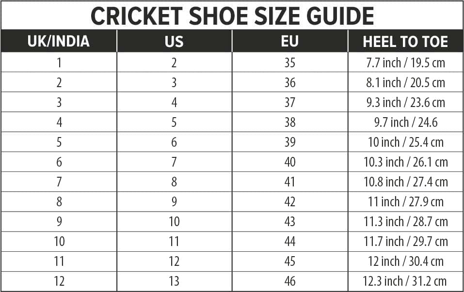 DSC Jaffa 22 mens Cricket Shoes