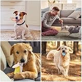 8 Stück Hundespielzeug Kleine Hunde, Welpenspielzeug, Langlebiges Kauspielzeug & Quietschspielzeug Intelligenz, Welpen Bissfestes Kuscheltier, Natürlicher Baumwolle & Ungiftig, Lindern Langeweile