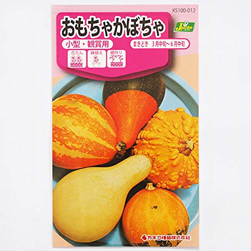 緑色の独特な形状のかぼちゃ 大量箱詰め合わせ 楽天市場