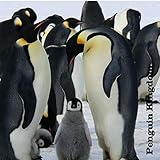  Rockhopper