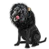 Onmygogo Lion Mane Wig for Dogs with Ears Funny Pet Costumes for Halloween Christmas Size M Black