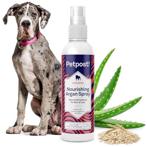 Petpost | Spray de champú de argán sin Agua para Perros - Desodorante y Limpiador de Pieles naturalmente nutritivo para Pieles más sanas y Brillantes - Fórmula sin Enjuague