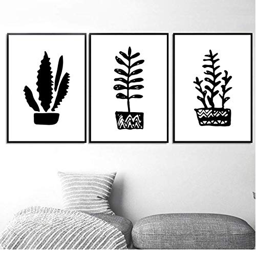 Affiche cactus noir et blanc 50x70cm pour habiller un mur vide de chambre sans charger l'espace