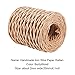 PH PandaHall 164 Feet 21 Gauge Floral Bind Wire Wrap Twine 2mm Paper Covered Rustic Vine Gardening Paper Wrapped Wire Craft Wire for Art Craft Flower Bouquets Floral Wrapping Gardening, Brown