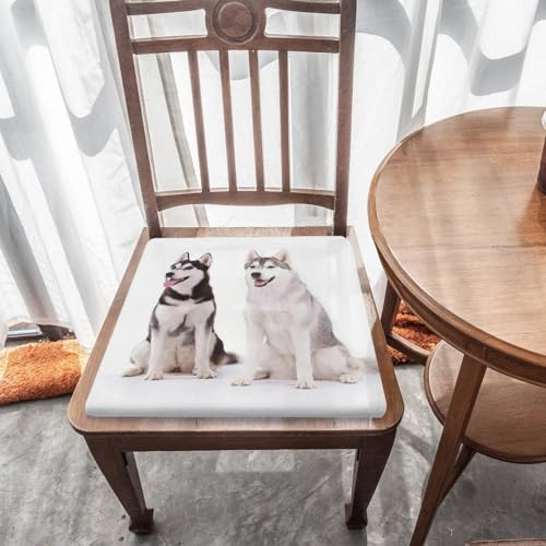 Cojín cuadrado Husky Dogs para sillas de oficina y salones confortables 6