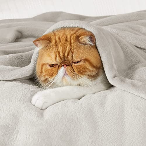 Image of Bedsure GentleSoft Fleece Bed Blankets Full Size Linen - Soft Lightweight Plush Fuzzy Cozy Luxury Blanket Microfiber, 84x90 inches