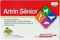 ARTRIN SÊNIOR GINSENG 30 COMPR. PALATÁVEIS