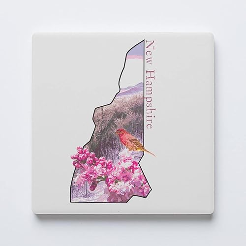 Posavasos de New Hampshire State con diseño Joyride para decoración del hogar, posavasos de cerámica individual, cuadrado individual de 4 pulgadas,