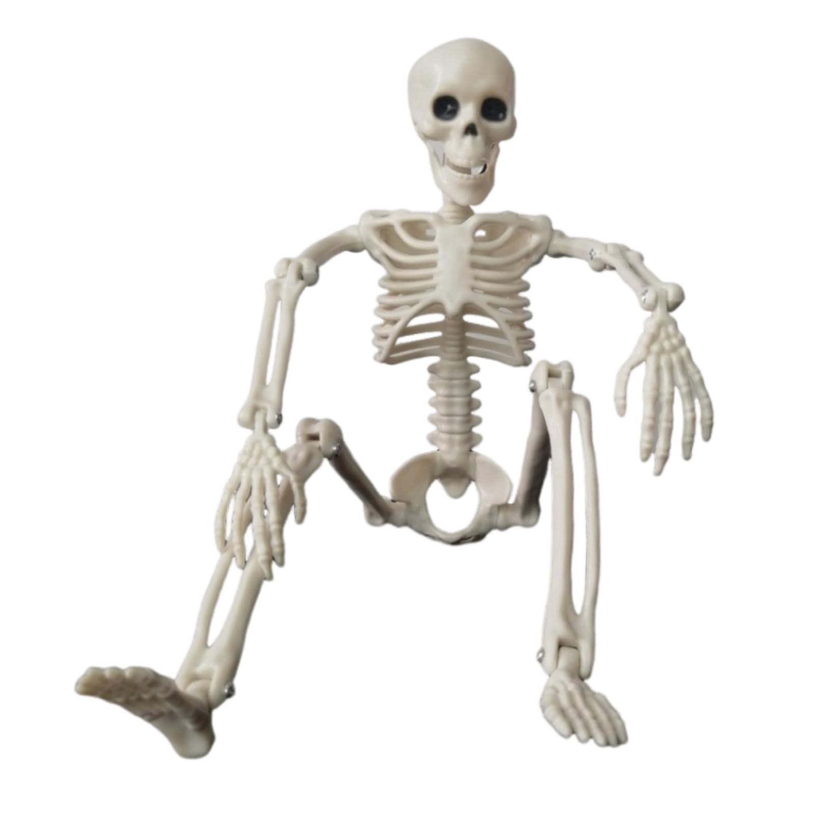 Esqueleto Halloween Figura Humanizada Ornamento Articulado con Completa Accesorio Decorativo de Cementerio Fabricado en PP Adecuado, L