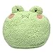 Grenouille en peluche Coussin de canapé Kawaii moelleux pour garçons filles et bébés I 35 x 27 cm