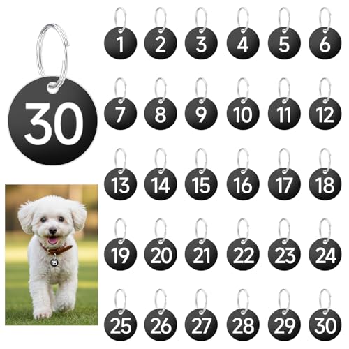 1~30̐^OAOtvȃvX`bNL[^OA35mmEhԍtʃ^OAAbJ[ALrlbgAA