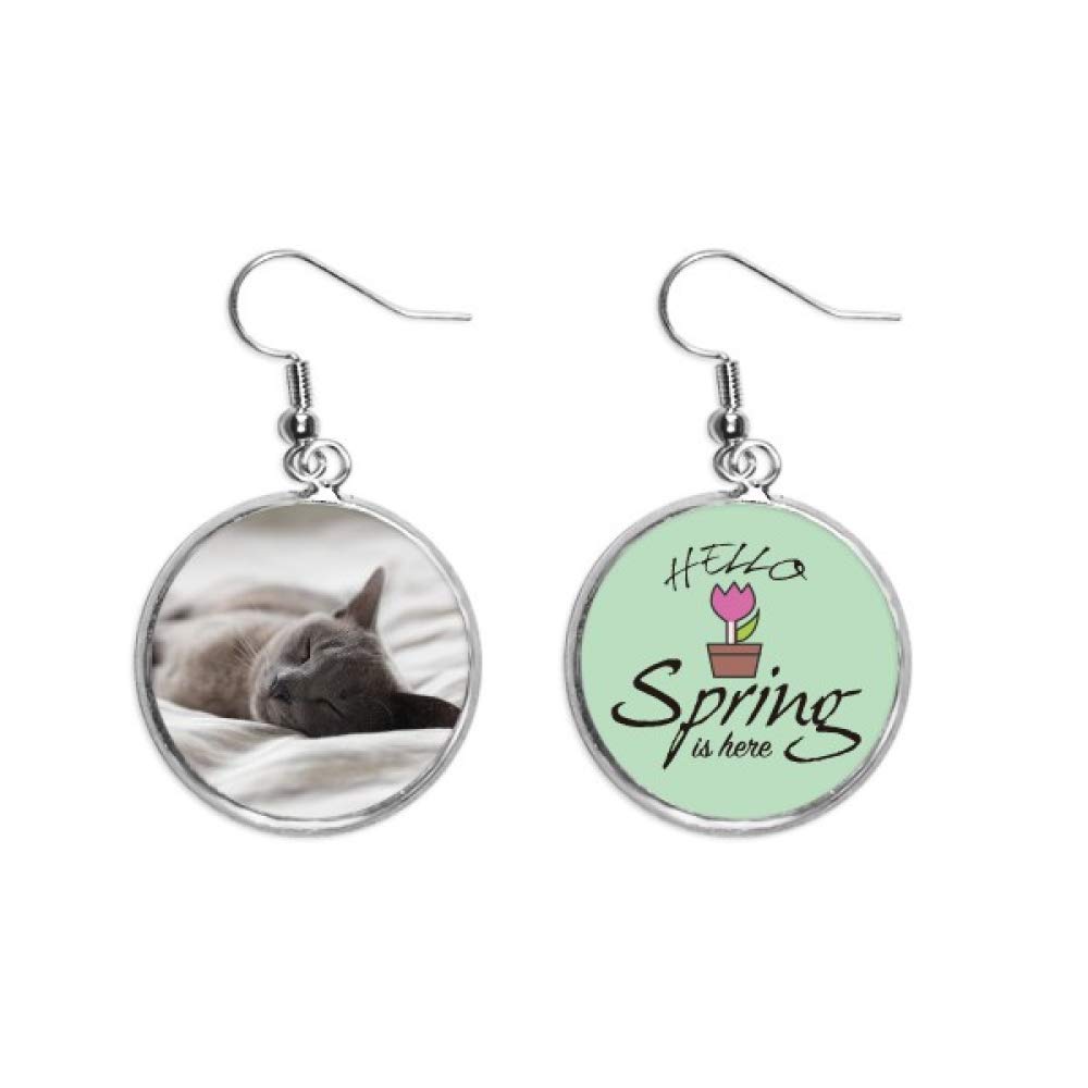Pendientes de gato gris para lucir en tus paseos de primavera 5