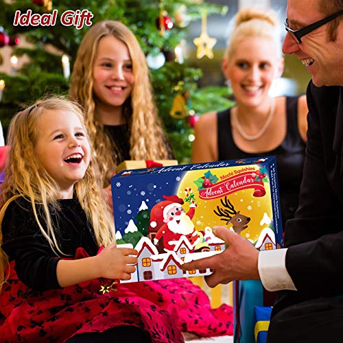Christmas Advent Calendar 2020 Countdown Calendars Toys for Kids LUDILO Christmas Mochi Squishy Toys 24Pcs Different Cute Mochi Animals Relief Stress Toys Unique Advent Calendars for Girls Boys