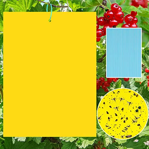 40 Gelbtafeln Klebrige Insektenfallen,KirschmadenFalle,Gelbstecker Papiere für Raupenleim,Gegen...