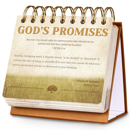 Motivational Calendar - Perpetual Flip Calendar...