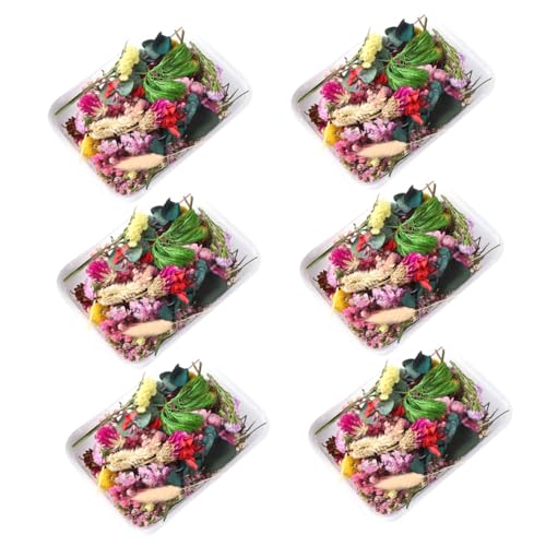 Flores Secas para Manualidades Decorativas Epoxi miniatura 1
