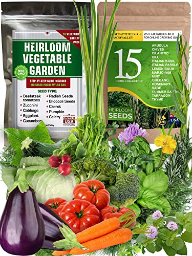 Big Survival Set Of Vegetable And Culinary Medicinal Herb Seeds - 100% Non Gmo Heirloom And Usa Grown - Total 5000+ Seeds For Planting Outdoor Indoor And Hydroponics #TOP28