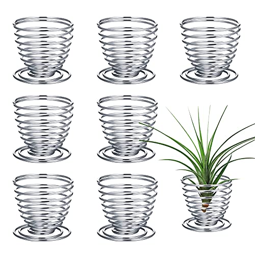 Liyi Air Plant Stand Container, 8 Pcs Air Fern Display Stand Stainless Steel Air Plant Holder For Live Tropical Plant Home Office Desktop Decoration (Silver) #TOP10