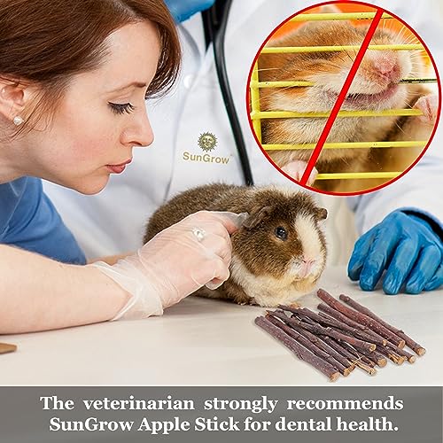 Image of SunGrow Apple Sticks, Wood Chew Treats for Rabbits, Chinchillas, Bunny, Hamster, Squirrel, Guinea Pigs, Small Animals Teeth Grinding