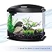 Aqueon LED MiniBow Small Aquarium Fish Tank Kit with SmartClean Technology, Black, 5 Gallon