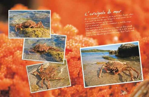 La cuisine buissonnière de martine