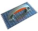 Render 0147 Spiked Float 25,4 cm Render Kratzer für K Rend mit 8 mm Spikes