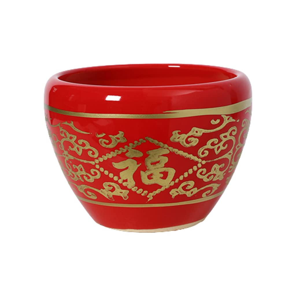 Bol pour plantes succulentes en céramique rouge 6-10 pouces avec soucoupe