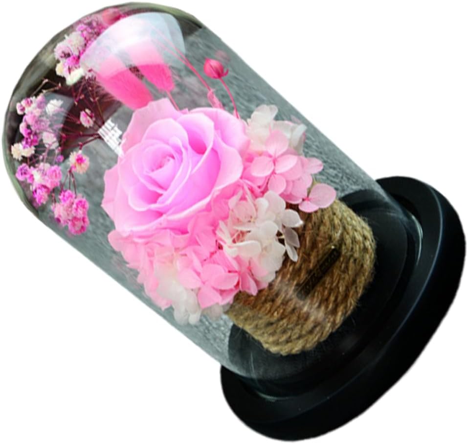 Unomor Romantic Preserved Rose Glass Dome Box Eternal Flower Decoration for Valentine Day Mother Day Weddings Anniversaries Create Warm Atmosphere Any Room