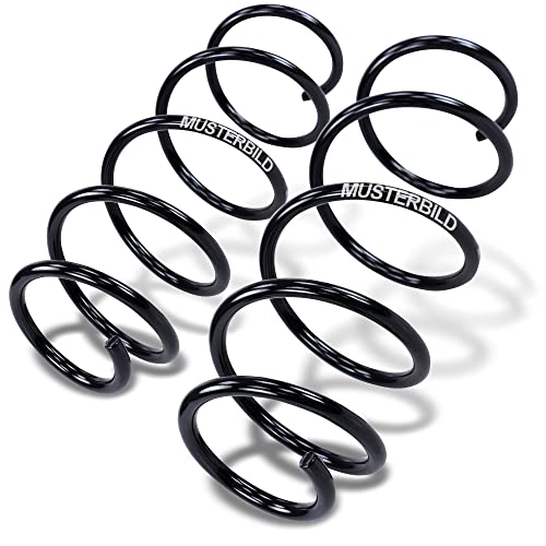 BESTPRICE 2x Muelle de Suspensión Trasero Izquierdo y Derecho compatible con MERCEDES-BENZ Clase A (W169)