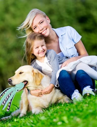Juguetes sonoros para perro paquete x2 miniatura 6